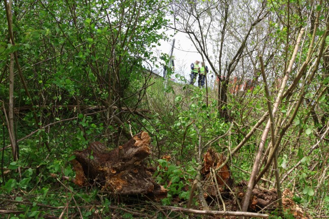 Kreuzungsbereich �bersehen: Auto bei St. Marien nach Fahrt durch Wald im Bachbett gelandet