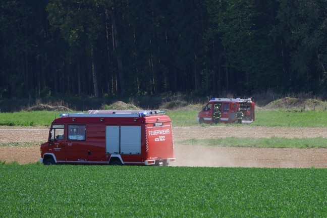 Waldbrand: Acht Feurewehren bei Brand im Droi�ingerwald bei Schiedlberg im Einsatz