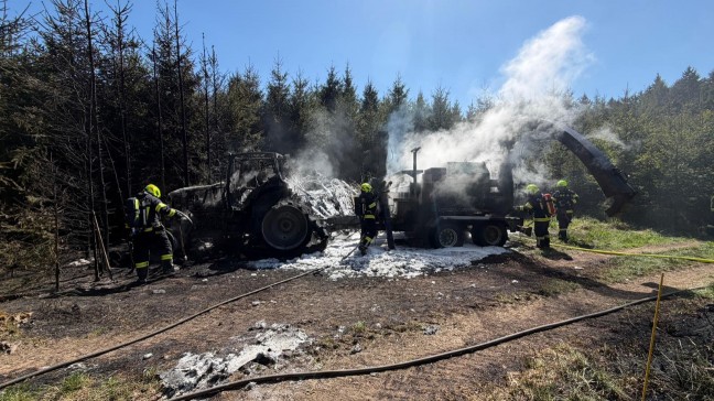Waldbrand: Acht Feuerwehren bei Brand im Droi�ingerwald bei Schiedlberg im Einsatz