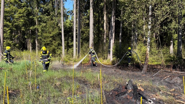Waldbrand: Acht Feuerwehren bei Brand im Droi�ingerwald bei Schiedlberg im Einsatz