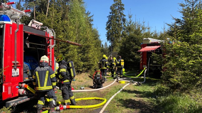 Waldbrand: Acht Feuerwehren bei Brand im Droi�ingerwald bei Schiedlberg im Einsatz