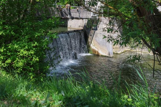 Schwer verletzt: Fischer in Grieskirchen im Bereich einer Wehranlage in die Trattnach gest�rzt