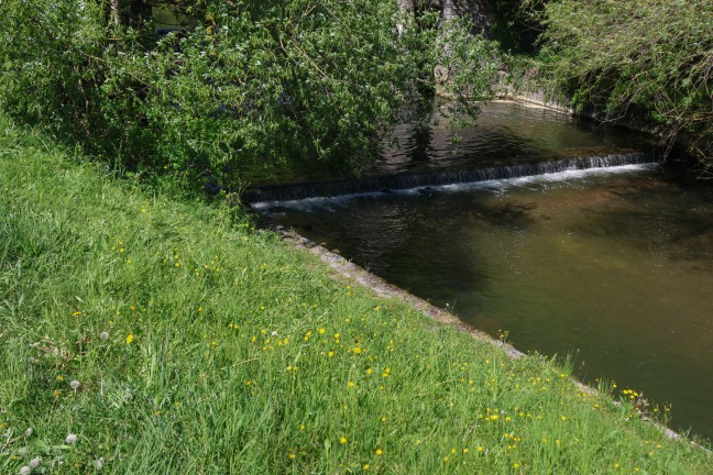 Schwer verletzt: Fischer in Grieskirchen im Bereich einer Wehranlage in die Trattnach gest�rzt