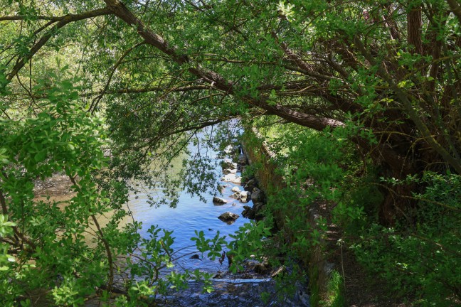 Schwer verletzt: Fischer in Grieskirchen im Bereich einer Wehranlage in die Trattnach gest�rzt