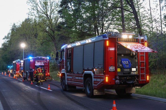 Verd�chtige Reifenspuren: Gr��erer Einsatz der Feuerwehr bei vermutetem Waldbrand in Stadl-Paura