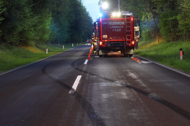 Verd�chtige Reifenspuren: Gr��erer Einsatz der Feuerwehr bei vermutetem Waldbrand in Stadl-Paura