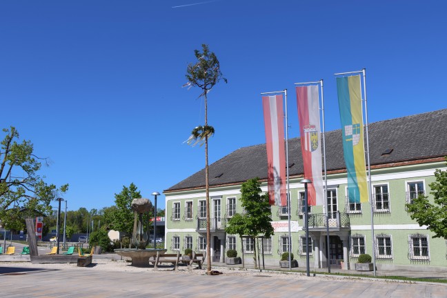 Steinerkirchen an der Traun bekam in einer Nacht-und-Nebelaktion "pr�chtigen Maibaum" geschenkt