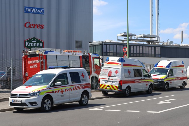Einsatzkr�fte zweier Feuerwehren bei Brand bei einem Unternehmen in Wels-Vogelweide im Einsatz