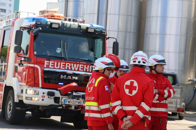 Einsatzkr�fte zweier Feuerwehren bei Brand bei einem Unternehmen in Wels-Vogelweide im Einsatz