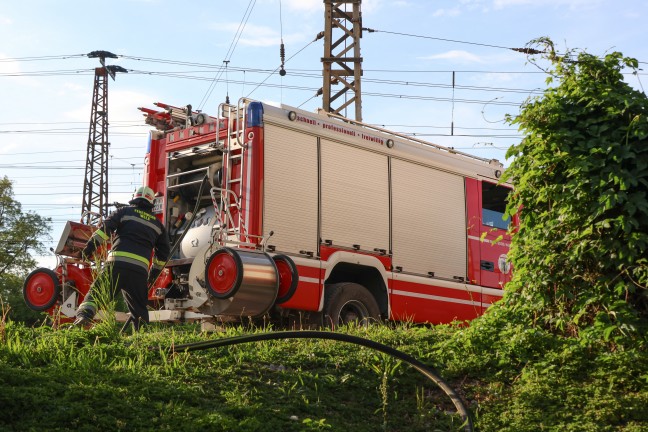 Feuerwehr bei Kleinbrand eines Geb�sches und Unrats am Weigl-Viadukt in Wels-Pernau im Einsatz