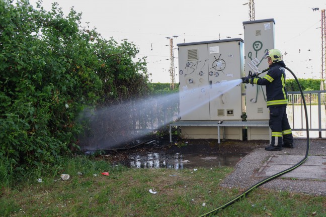 Feuerwehr bei Kleinbrand eines Geb�sches und Unrats am Weigl-Viadukt in Wels-Pernau im Einsatz