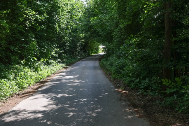 T�dlicher Fahrradsturz: Radfahrer (75) starb nach schwerem Unfall in Kremsm�nster im Klinikum