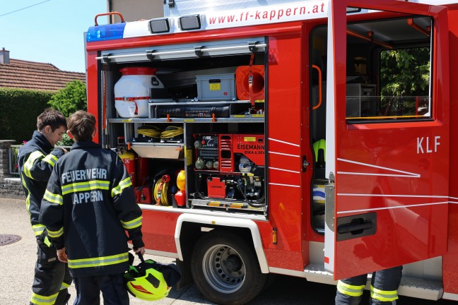 Reptilieneinsatz: Feuerwehr rettet Ringelnatter aus Keller eines Wohnhauses in Marchtrenk