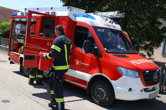 Reptilieneinsatz: Feuerwehr rettet Ringelnatter aus Keller eines Wohnhauses in Marchtrenk