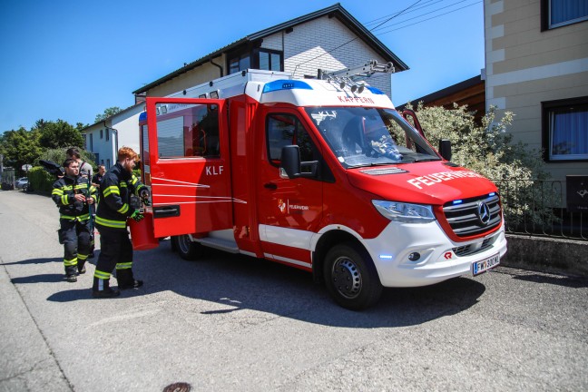 �skulapnatter durch Einsatzkr�fte der Feuerwehr aus Garten in Marchtrenk gerettet