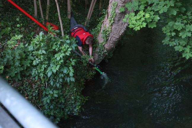 E-Scooter: Feuerwehr in Wels-Lichtenegg bei Bergung eines Leihscooters aus dem M�hlbach im Einsatz