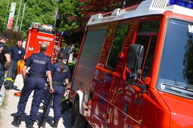 Taucher der Feuerwehr bei Bergung eines Kennzeichens aus dem M�hlbach in Wels-Innenstadt im Einsatz