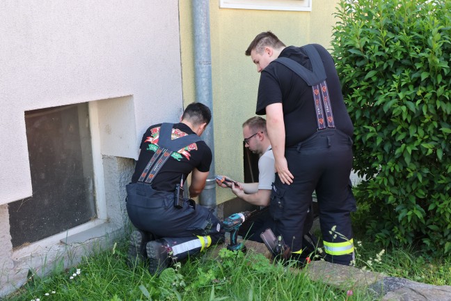Vogel gerettet: Dohle aus Dachrinnenablauf eines Mehrparteienwohnhauses in Wels-Vogelweide gerettet