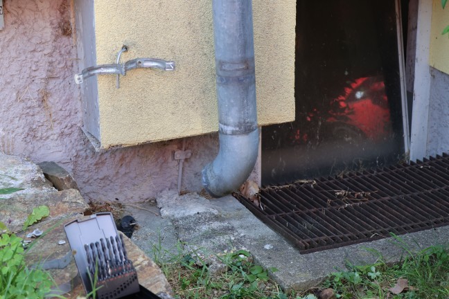 Vogel gerettet: Dohle aus Dachrinnenablauf eines Mehrparteienwohnhauses in Wels-Vogelweide gerettet