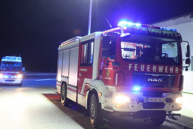 Feuer im Garten eines Wohnhauses in Gunskirchen drohte auf Garage �berzugreifen