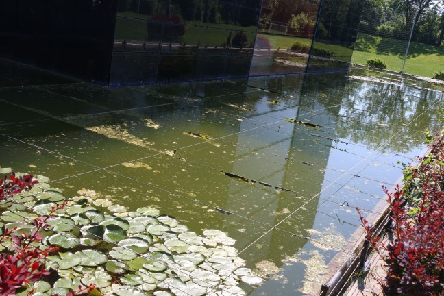 Schn�re gegen Enten �ber einem Teich in Wels-Vogelweide l�sen regelrechten Shitstorm aus