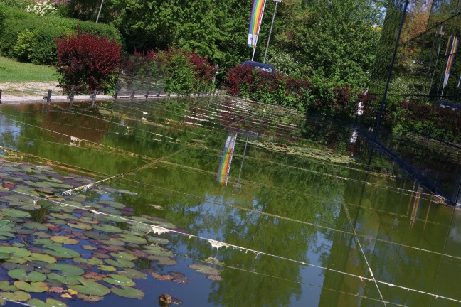 Schn�re gegen Enten �ber einem Teich in Wels-Vogelweide l�sen regelrechten Shitstorm aus
