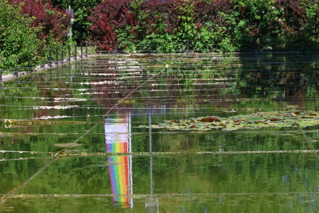 Schn�re gegen Enten �ber einem Teich in Wels-Vogelweide l�sen regelrechten Shitstorm aus