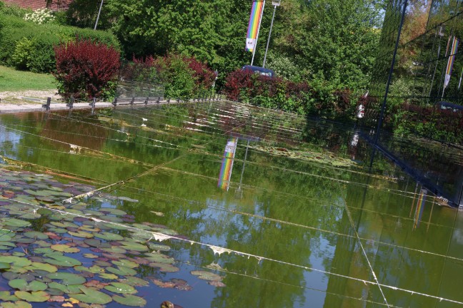 Schn�re gegen Enten �ber einem Teich in Wels-Vogelweide l�sen regelrechten Shitstorm aus