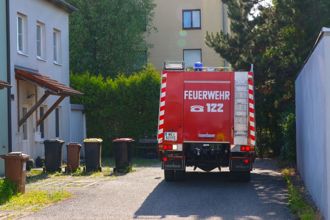 Kleinbrand an einer Fassade eines Reihenhauses in Wels-Vogelweide mittels Gartenschlauch gel�scht