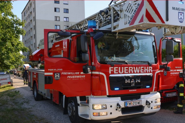 Kleinbrand an einer Fassade eines Reihenhauses in Wels-Vogelweide mittels Gartenschlauch gel�scht