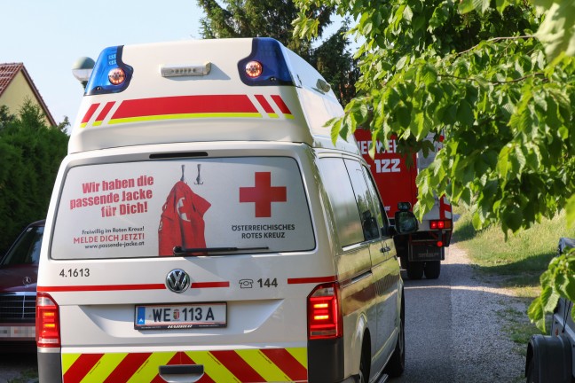 Kleinbrand an einer Fassade eines Reihenhauses in Wels-Vogelweide mittels Gartenschlauch gel�scht