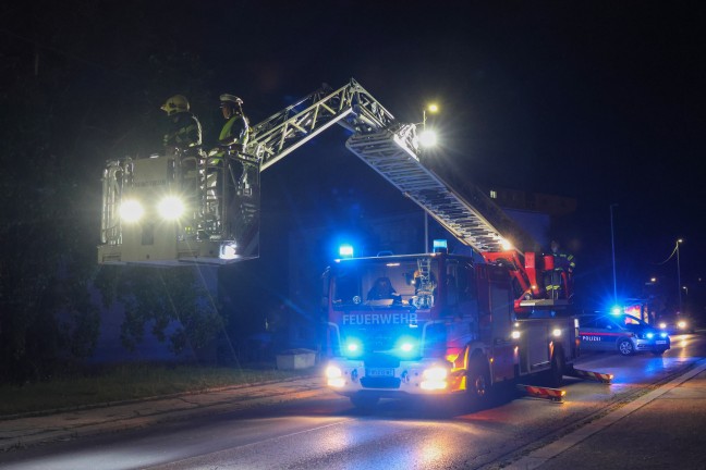 Drehleitereinsatz der Feuerwehr: Katze in Wels-Vogelweide von Polizistin aus Baum gerettet