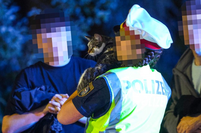 Drehleitereinsatz der Feuerwehr: Katze in Wels-Vogelweide von Polizistin aus Baum gerettet