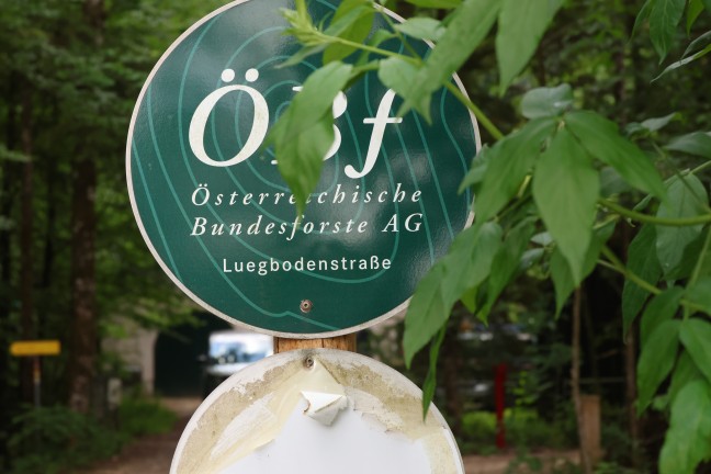 T�dliches Ereignis: Mann in Altm�nster offenbar in Fischteich gest�rzt und ertrunken