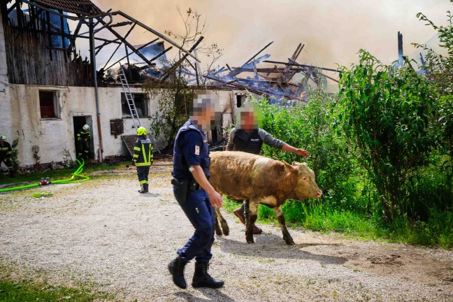 17 Feuerwehren bei Gro�brand auf Bauernhof in Feldkirchen bei Mattighofen im Einsatz