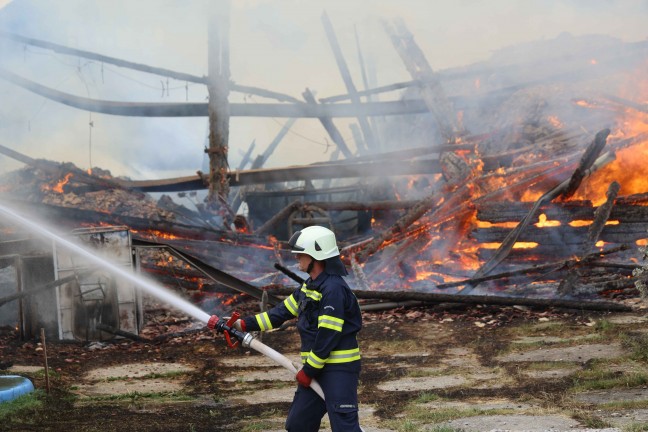17 Feuerwehren bei Gro�brand auf Bauernhof in Feldkirchen bei Mattighofen im Einsatz