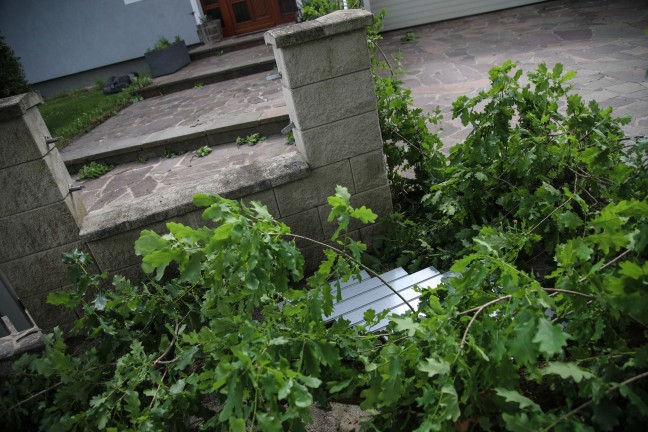 Feuerwehr im Einsatz: �ste eines gro�en Baumes in Marchtrenk durch Baufahrzeug besch�digt