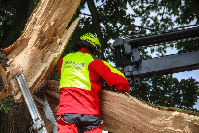 Feuerwehr im Einsatz: �ste eines gro�en Baumes in Marchtrenk durch Baufahrzeug besch�digt
