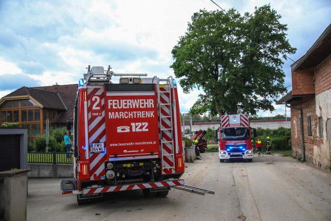 Feuerwehr im Einsatz: �ste eines gro�en Baumes in Marchtrenk durch Baufahrzeug besch�digt