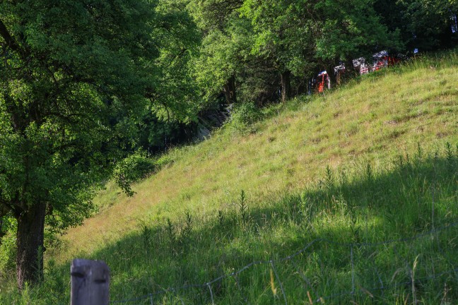 Steinbach an der Steyr: Baum rettet Pakettransporter nach �berschlag vor folgenschwerem Absturz