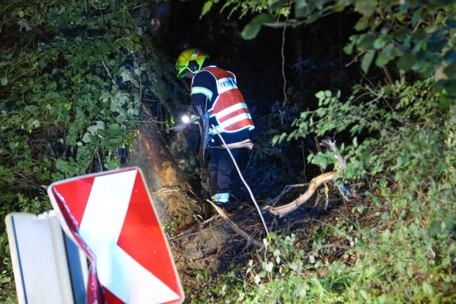 Auto steckte nach schwerem Verkehrsunfall bei Wei�kirchen an der Traun regelrecht in Waldb�schung