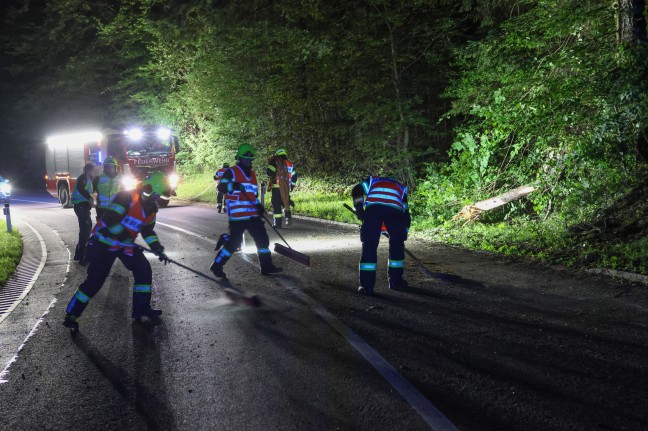 Auto steckte nach schwerem Verkehrsunfall bei Wei�kirchen an der Traun regelrecht in Waldb�schung