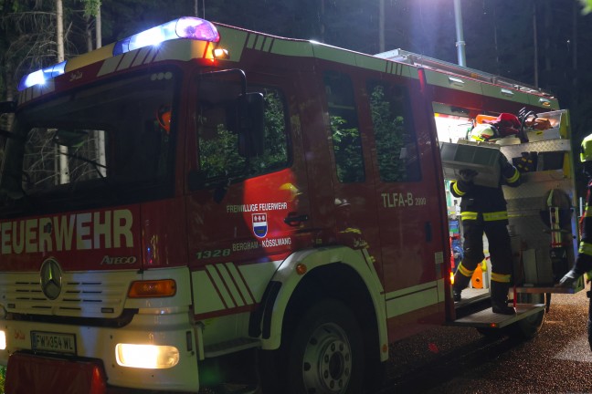 Auto in einem Waldst�ck in Bad Wimsbach-Neydharting gegen mehrere B�ume geprallt