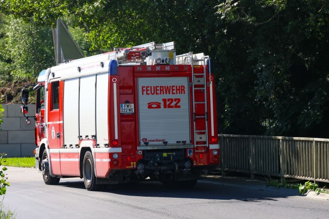 Schwimmendes Reh im M�hlbach sorgte f�r Einsatz der Feuerwehr und der Polizei in Wels-Schafwiesen
