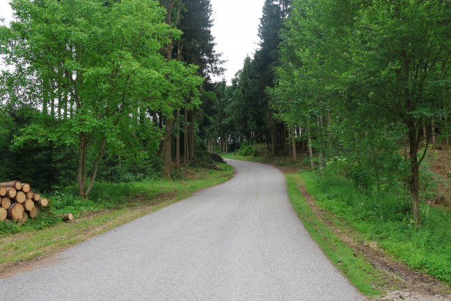 Personenrettung nach schwerem Forstunfall in einem Waldst�ck bei Meggenhofen