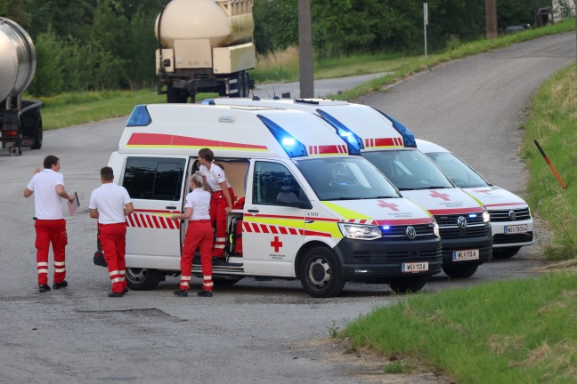 Brand in einem Futterwerk in Bachmanning sorgte f�r  Einsatz von drei Feuerwehren