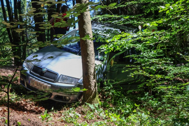 Personenrettung: Auto in einem Waldst�ck bei Natternbach gegen Baum gekracht