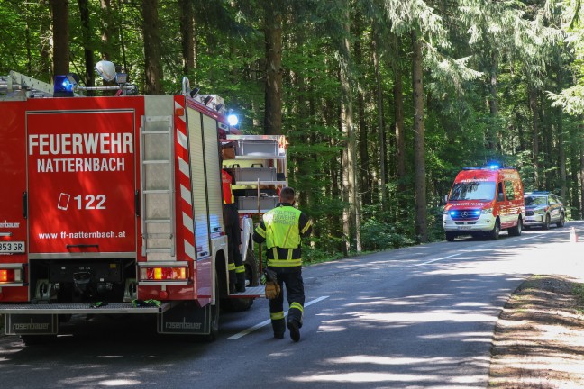 Personenrettung: Auto in einem Waldst�ck bei Natternbach gegen Baum gekracht
