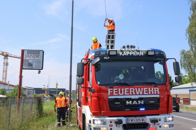 Auto gegen Stra�enlaterne: Feuerwehr bei Aufr�umarbeiten auf Wiener Stra�e in Marchtrenk im Einsatz