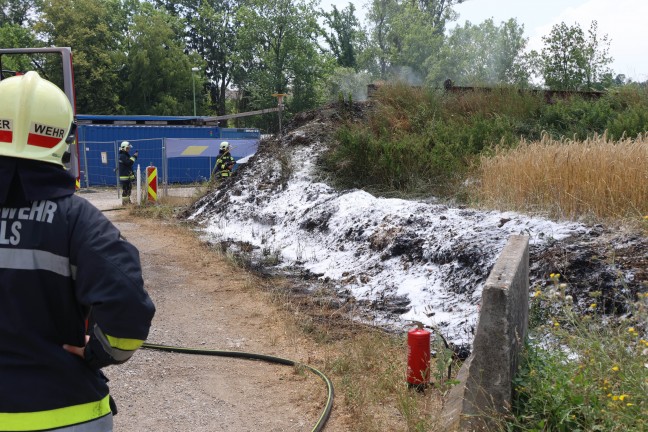 Feuerwehr und Polizei bei Flurbrand in Wels-Schafwiesen im Einsatz